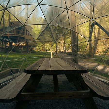 The Dogwood In Treehouse Grove At Norton Creek Vila Gatlinburg Exterior foto